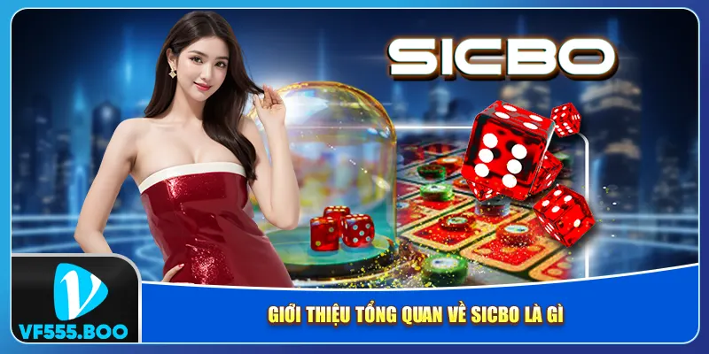 Giới thiệu tổng quan về sicbo là gì Giới thiệu tổng quan về sicbo là gì
