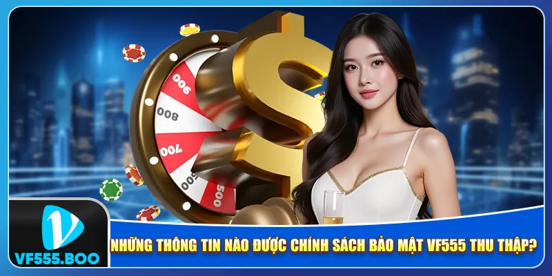 Những thông tin nào được chính sách bảo mật VF555 thu thập?