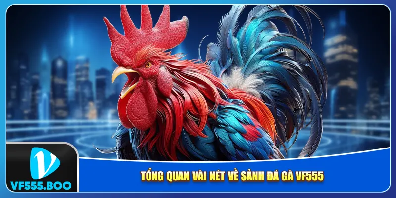 Tổng quan vài nét về sảnh đá gà VF555