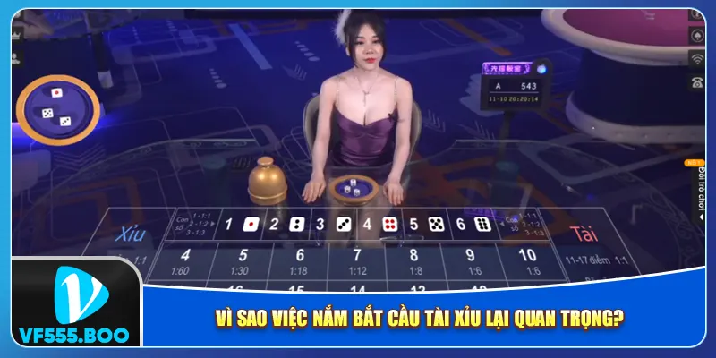 Vì sao việc nắm bắt cầu tài xỉu lại quan trọng?